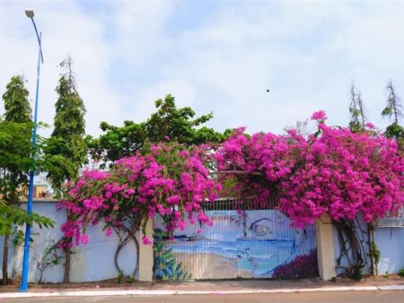 villa-a12-hoang-le-kha-11